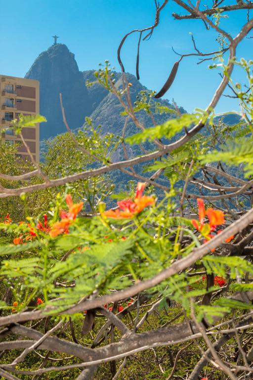 Rio Nature Hostel Rio de Janeiro Værelse billede