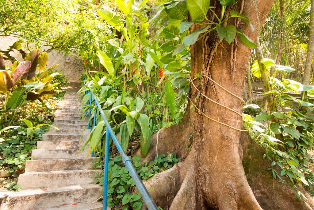 Rio Nature Hostel Rio de Janeiro Eksteriør billede